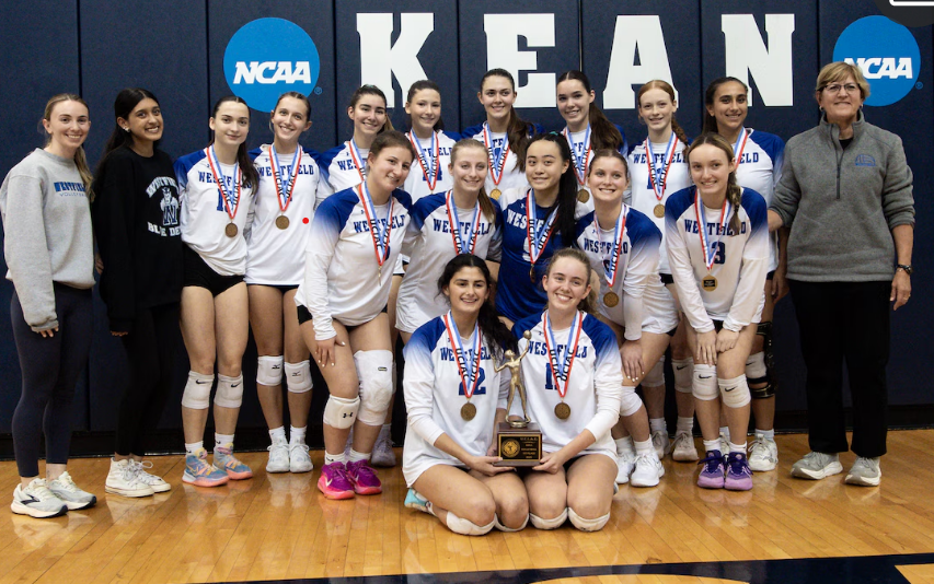 Westfield girls win Union County Volleyball Championship